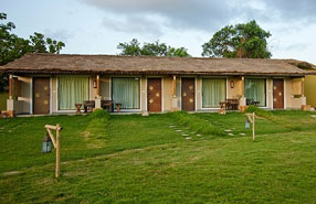  asiatic lion lodge