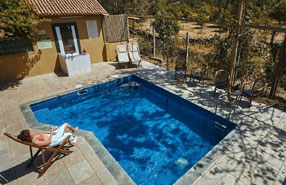 asiatic lion lodge 