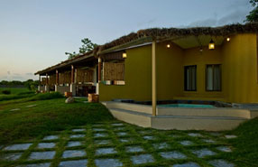 asiatic lion lodge