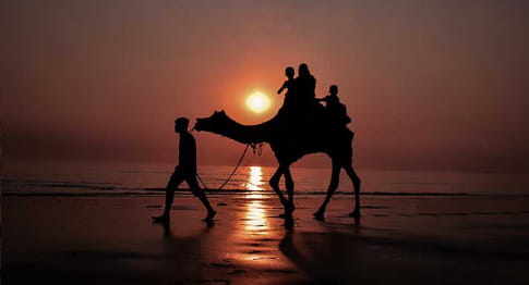 camel safari