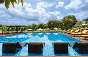  wood at sasan resort